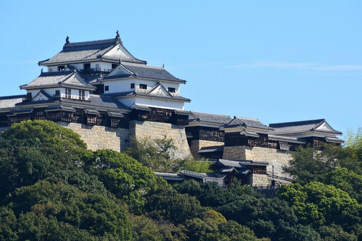 a castle on top of a hill with trees