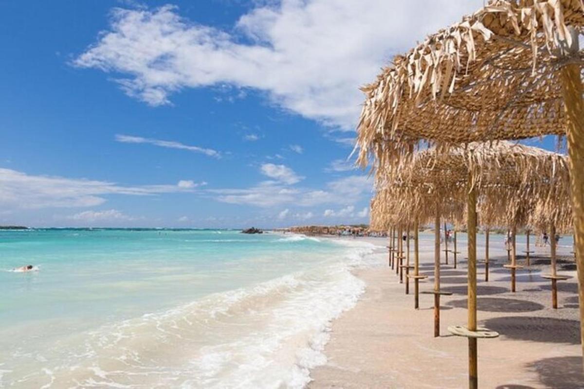 una platja amb un munt de para-sols de palla i l'oceà