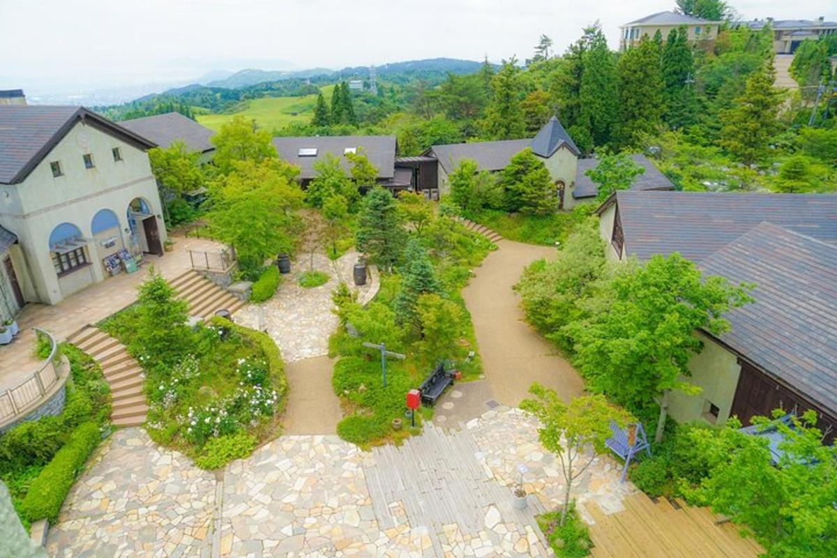 una vista aerea di una casa con giardino