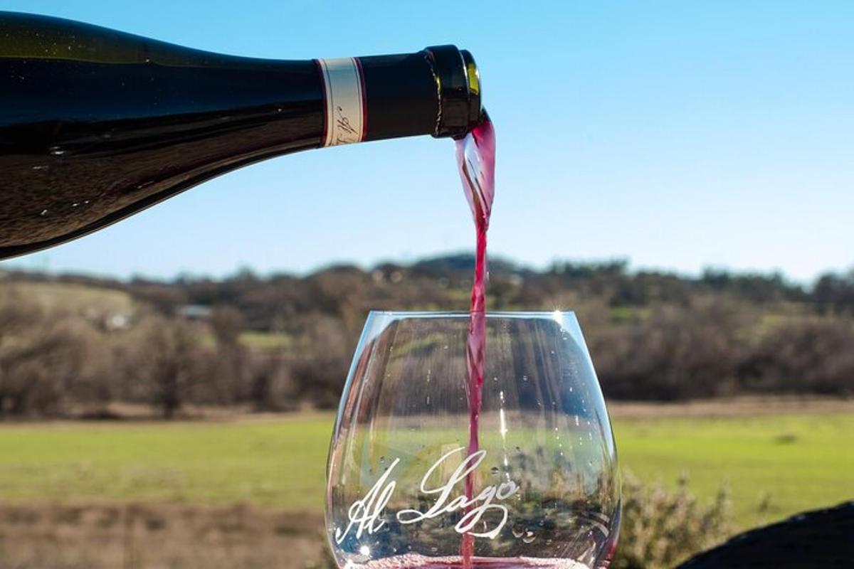 a bottle of wine being poured into a wine glass
