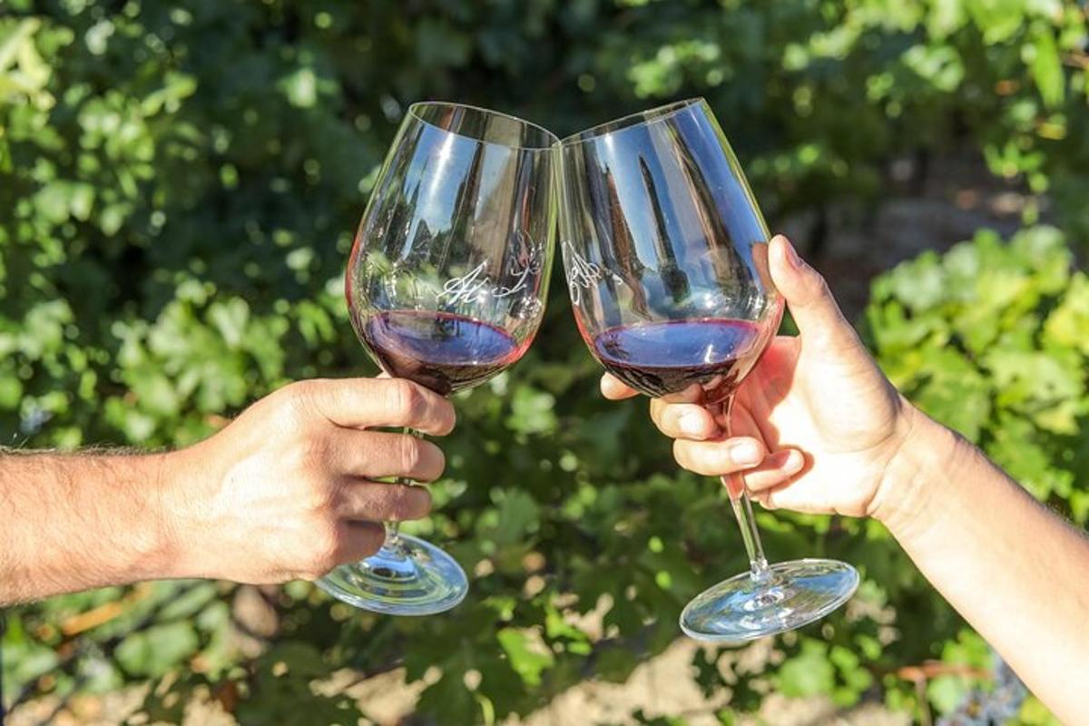 two people holding up glasses of wine