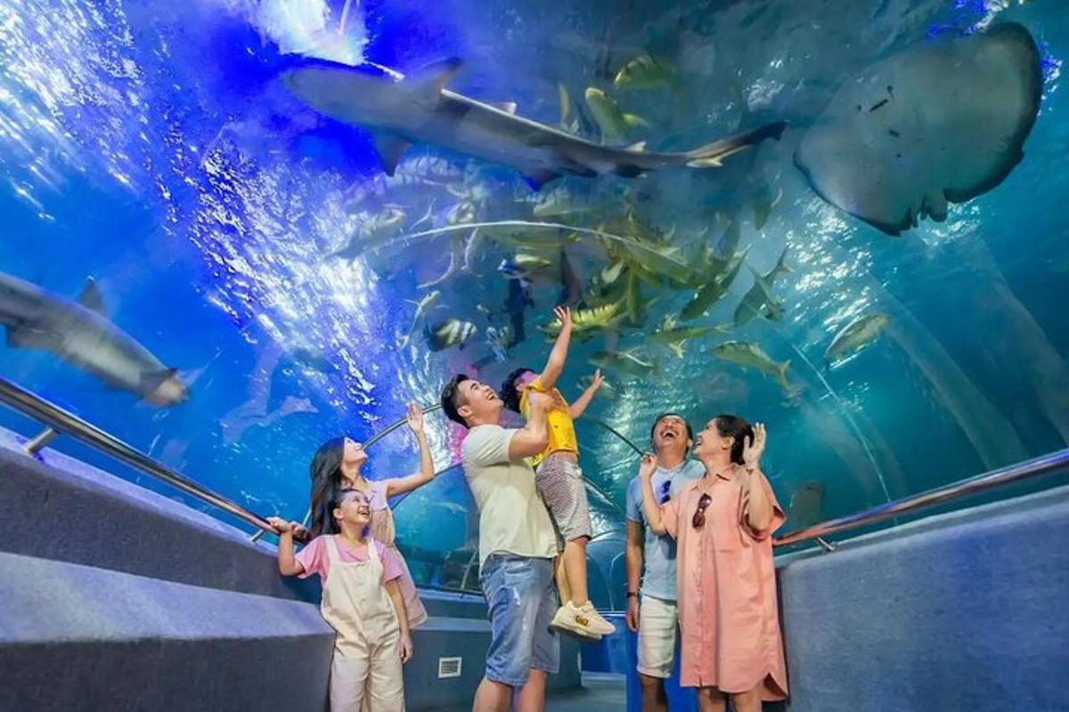 eine Familie steht vor einem Aquarium mit Haien