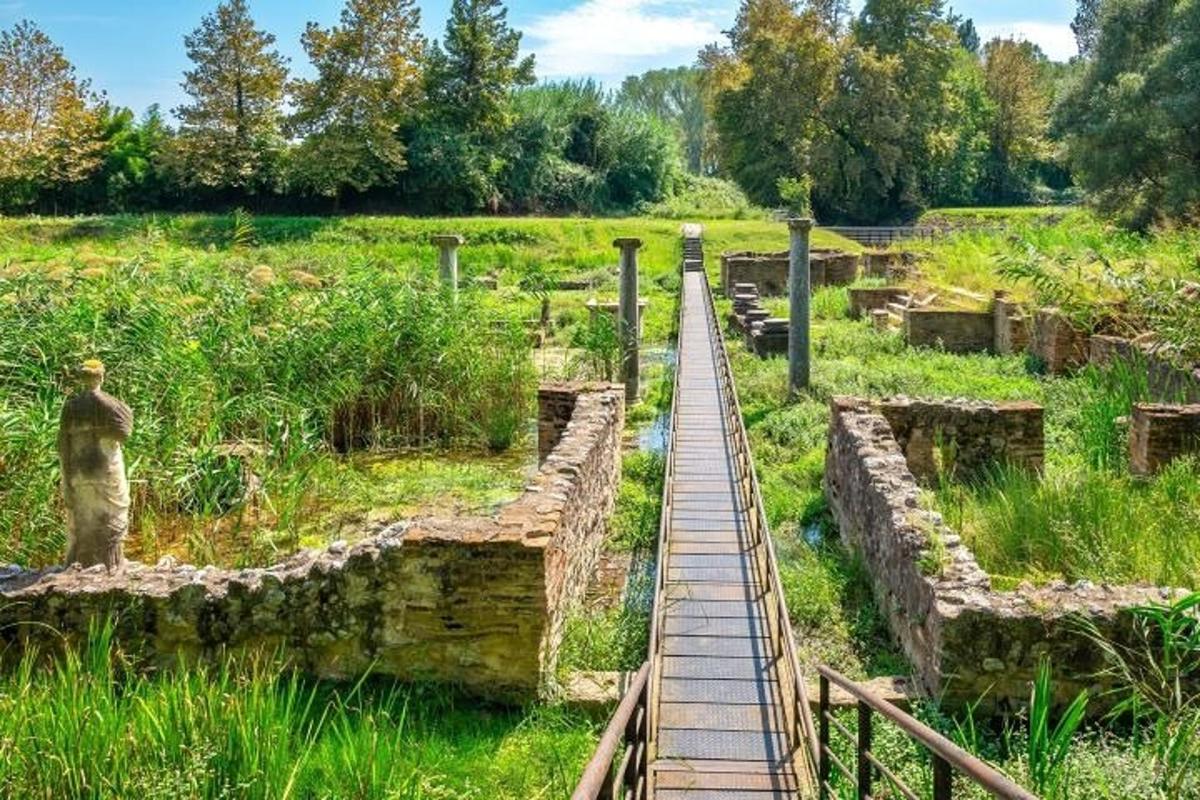 μια ξύλινη γέφυρα πάνω από ένα χωράφι με γρασίδι και δέντρα