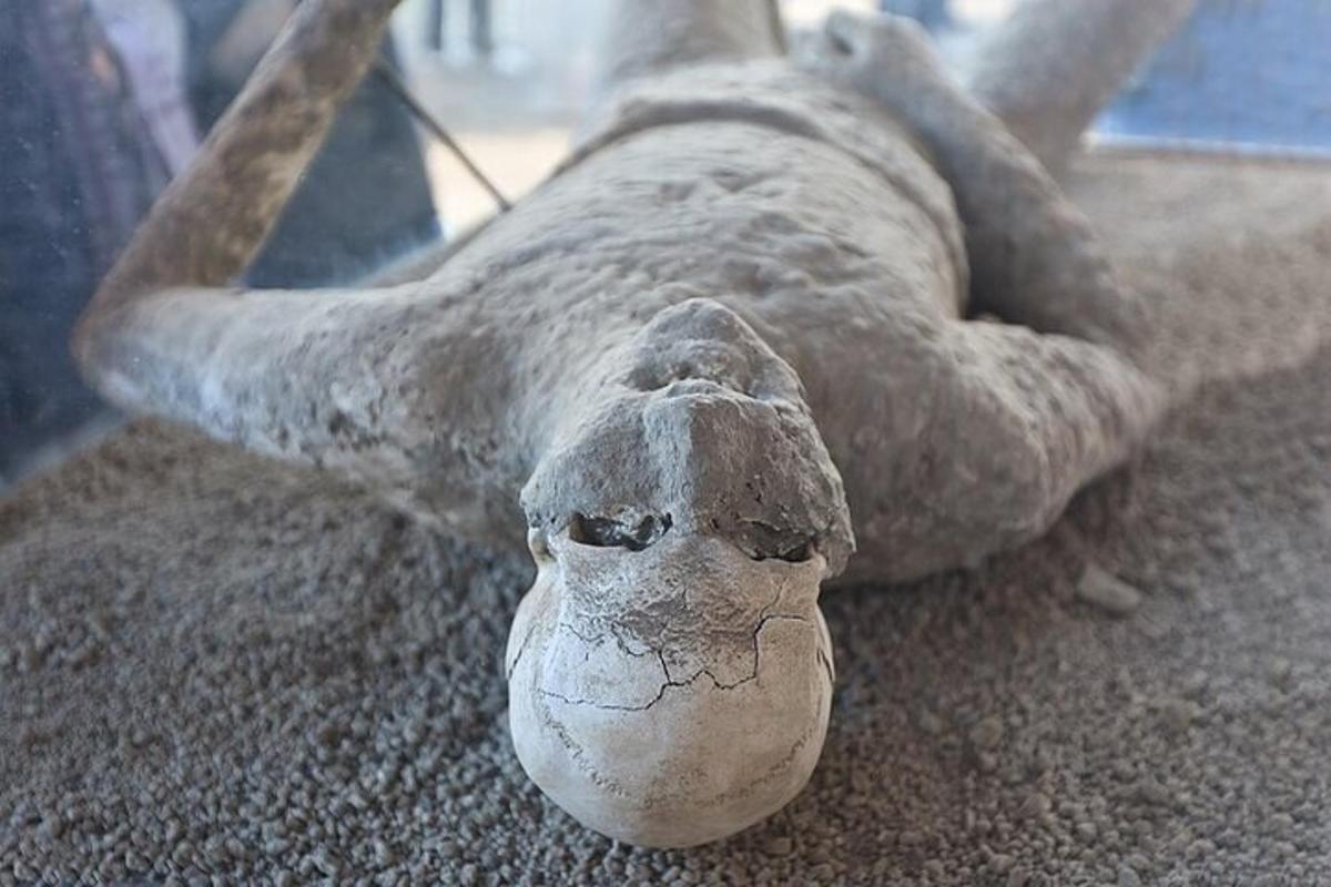 a statue of a dead animal laying on the ground