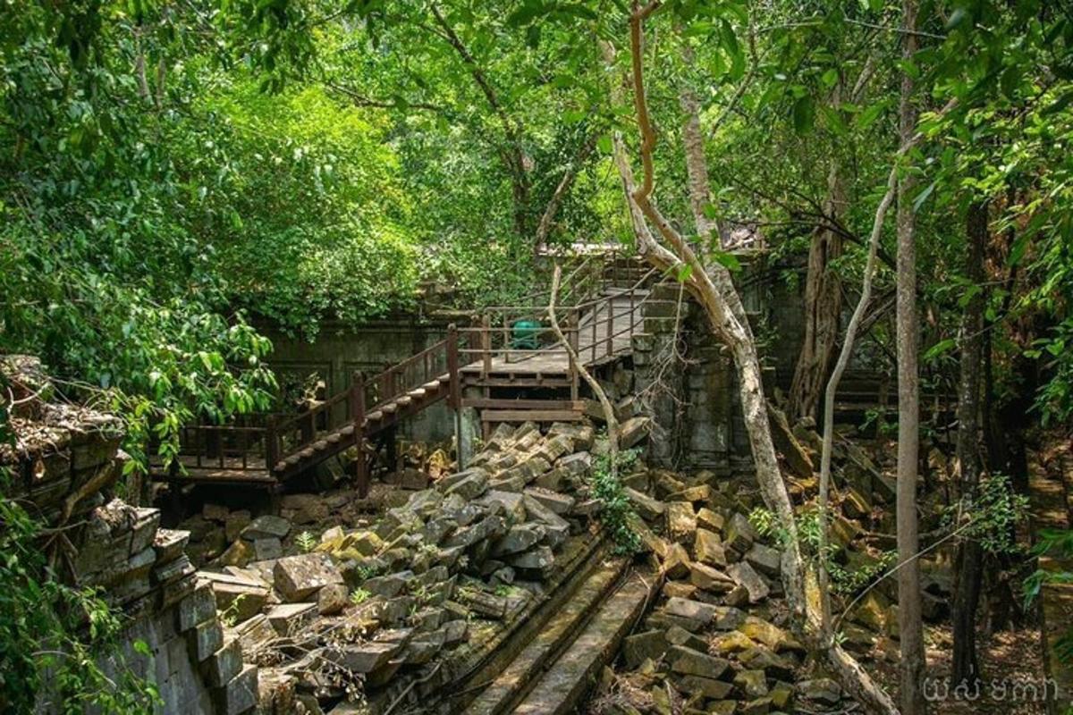 eine Brücke in einem Wald mit Felsen und Bäumen