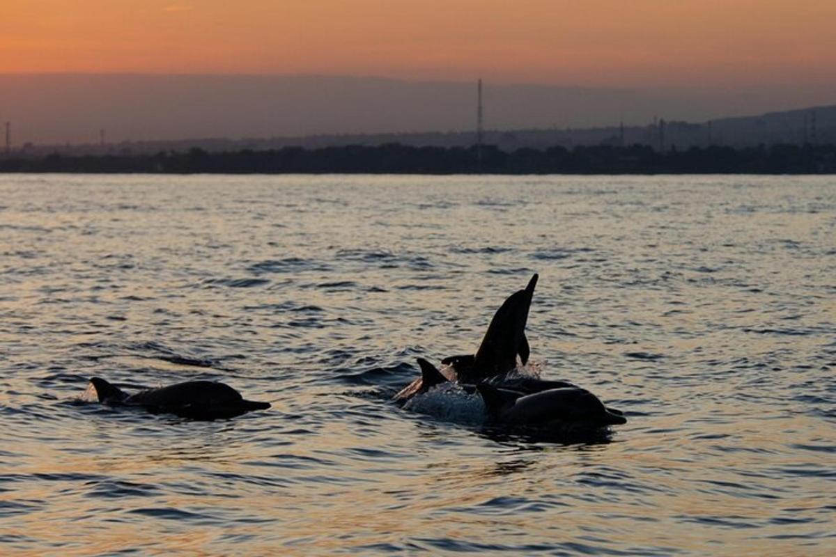 a bird sitting on the back of two elephants in the water