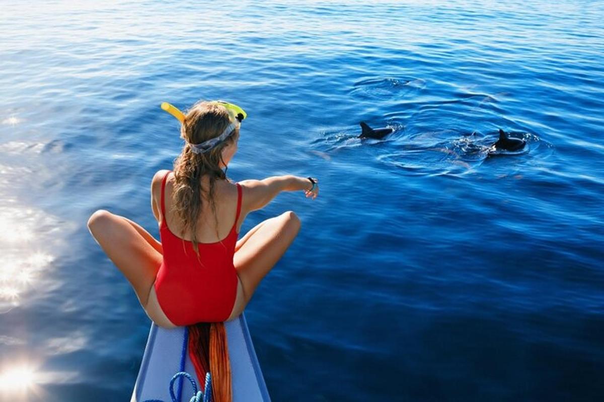 a woman sitting on a boat looking at dolphins in the water