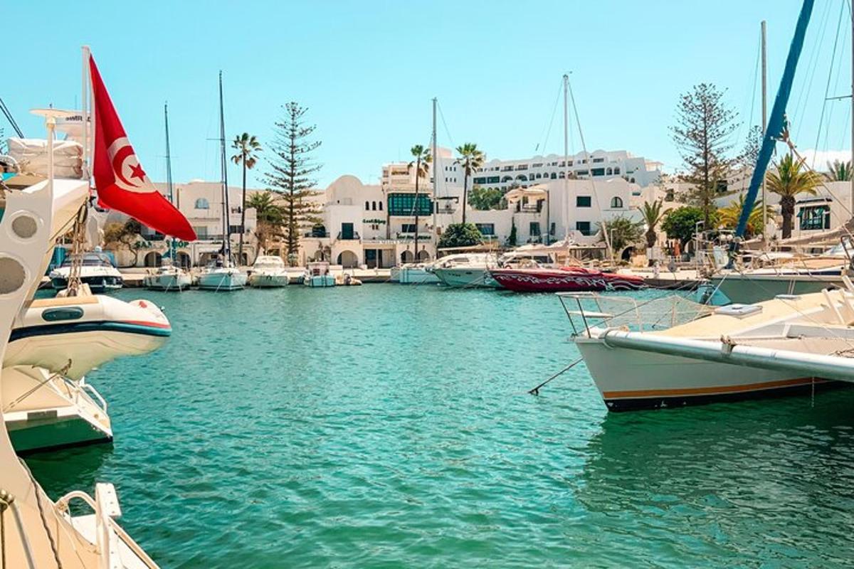 a group of boats are docked in a harbor