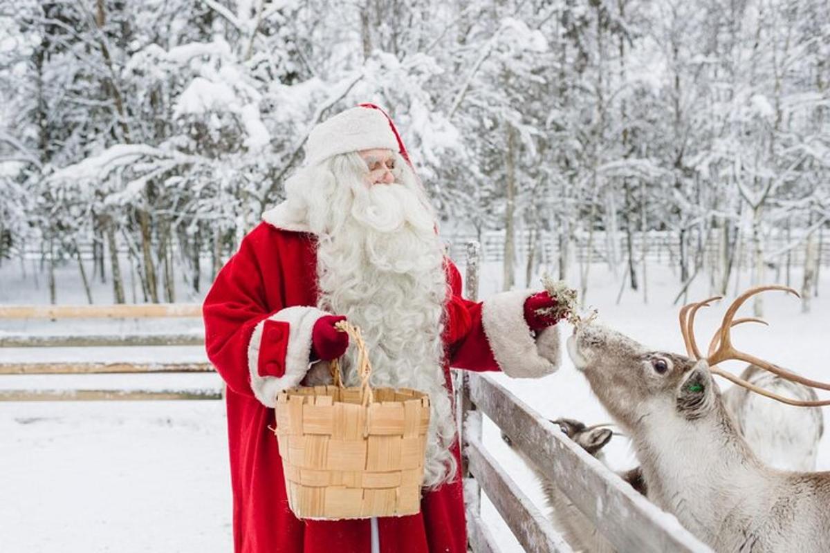 ein als Weihnachtsmann verkleideter Mann füttert ein Reh