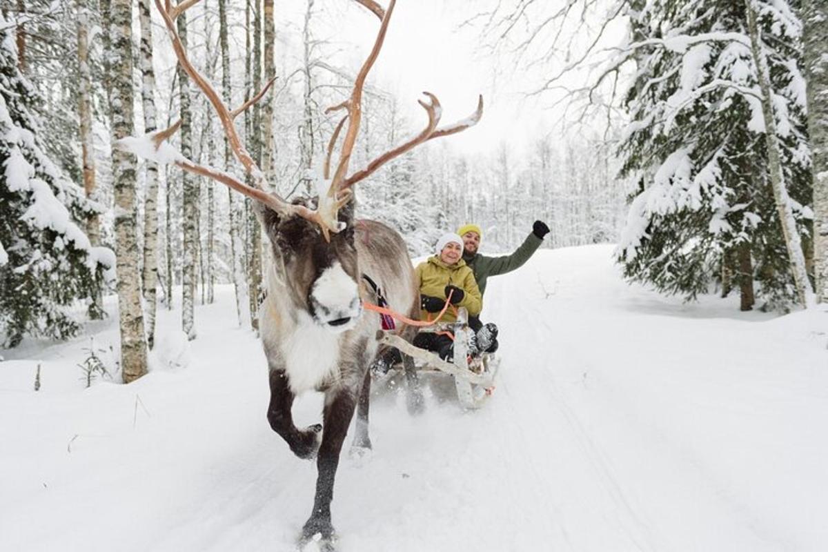 Ein Mann wird von einem Rentier durch den Schnee gezogen