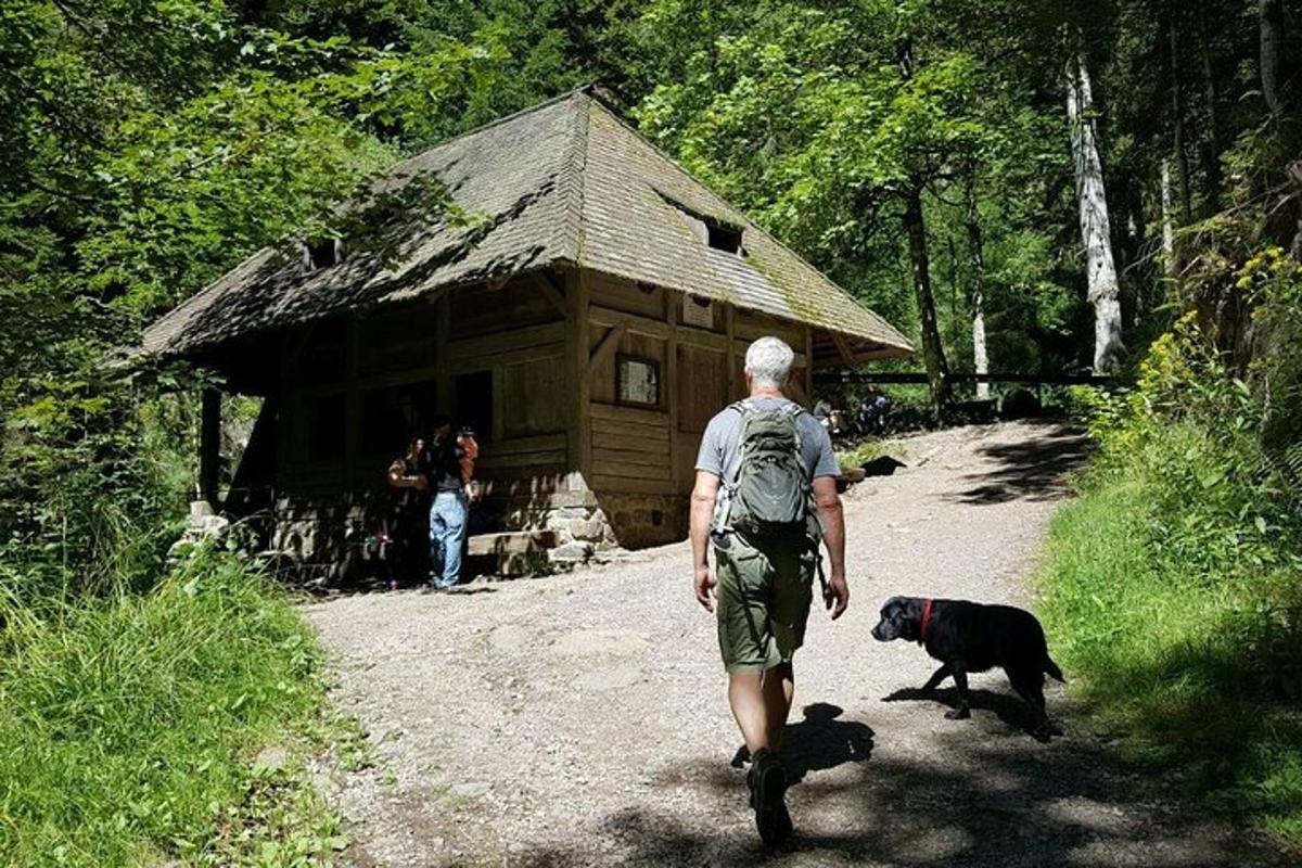 Bild 6 von der Attraktion