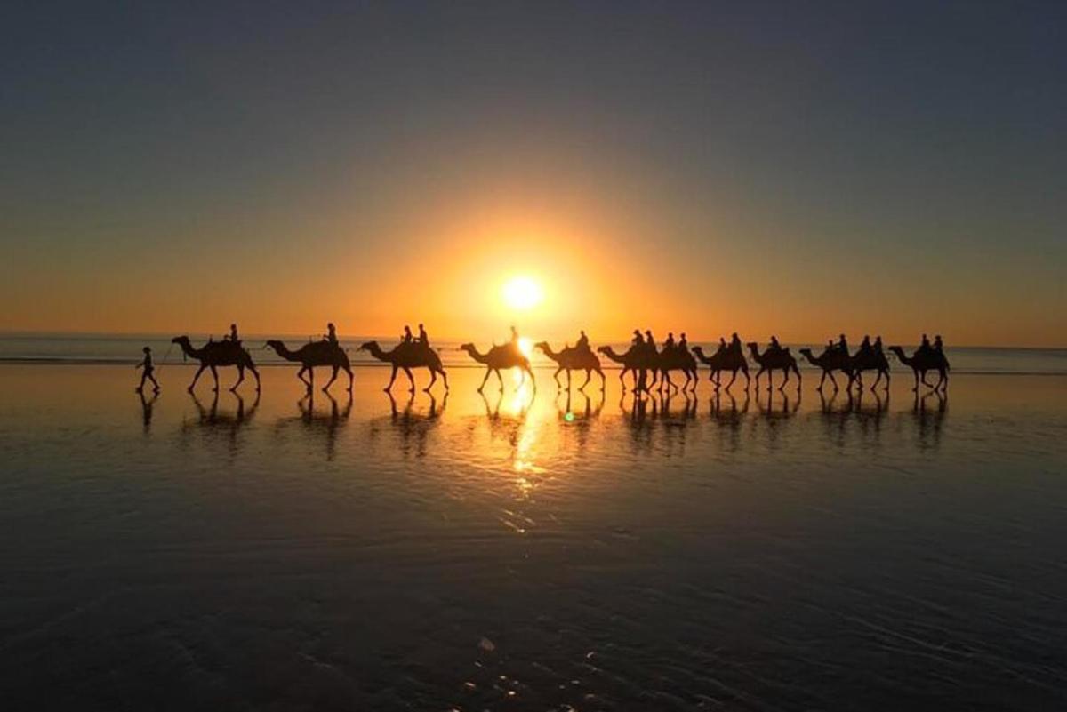 夕暮れ時のビーチで馬に乗る人々のグループ