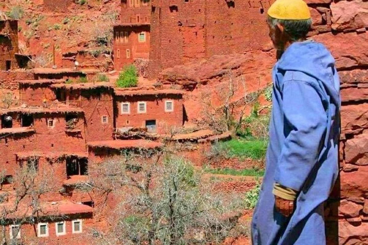 a man is looking out over a canyon
