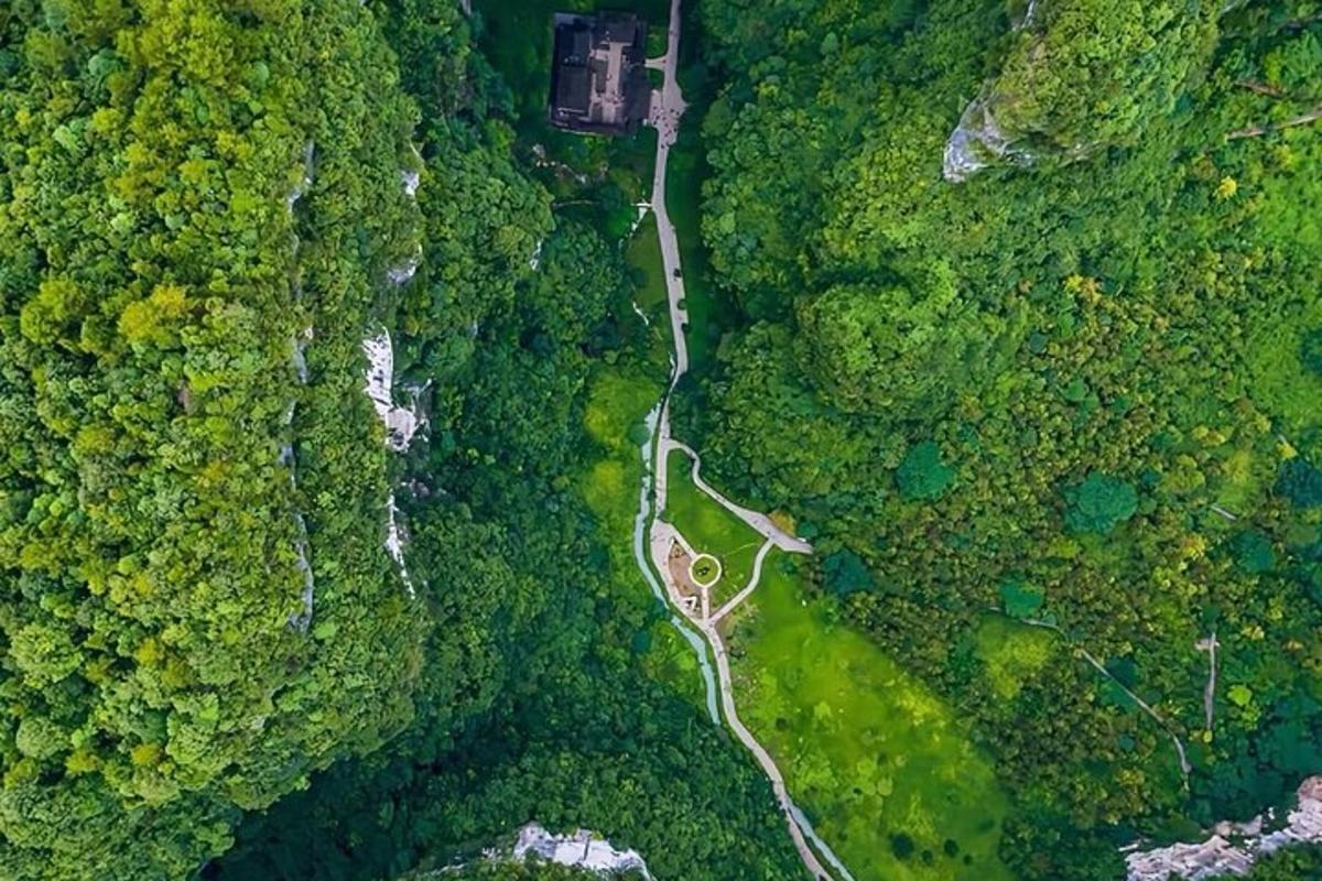 森林中间道路的鸟瞰图