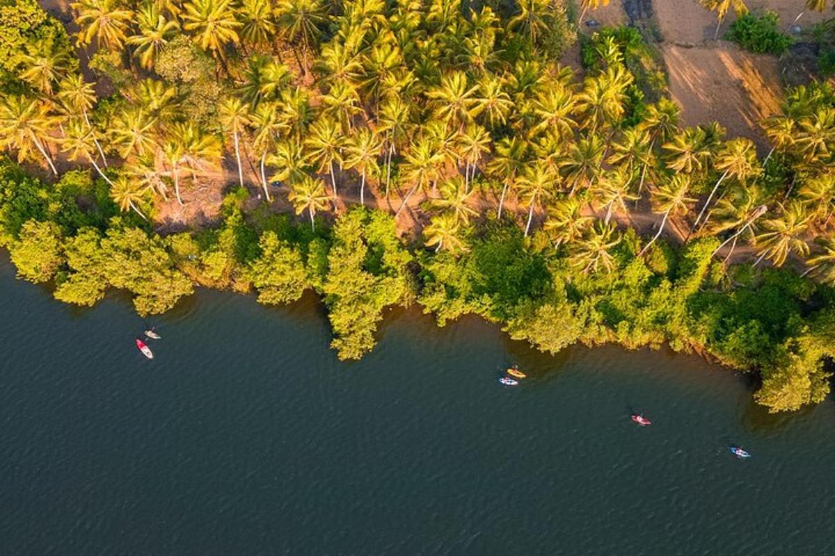 pemandangan udara pokok palma dan bot di dalam air