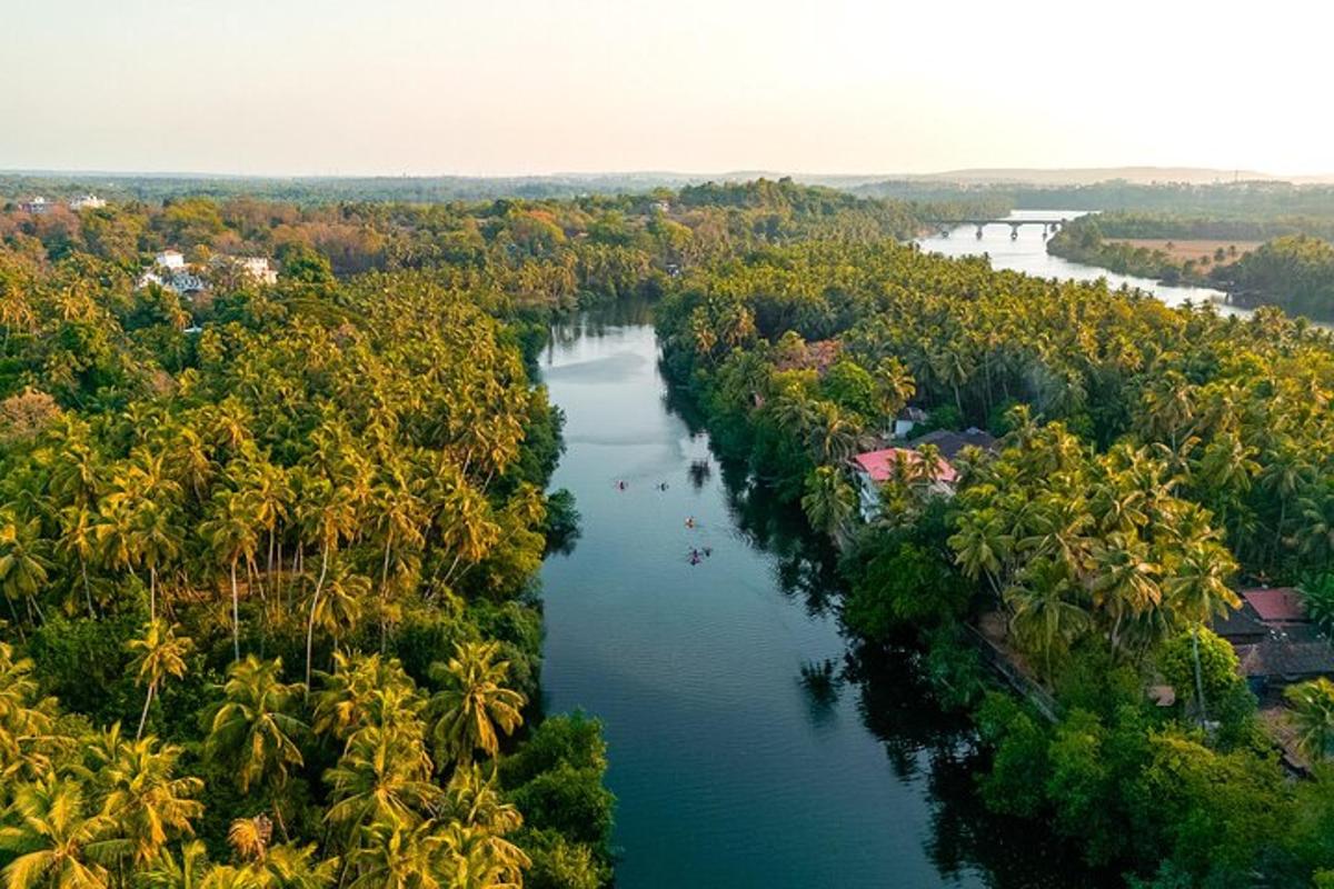 pemandangan dari udara sungai dengan pokok palma