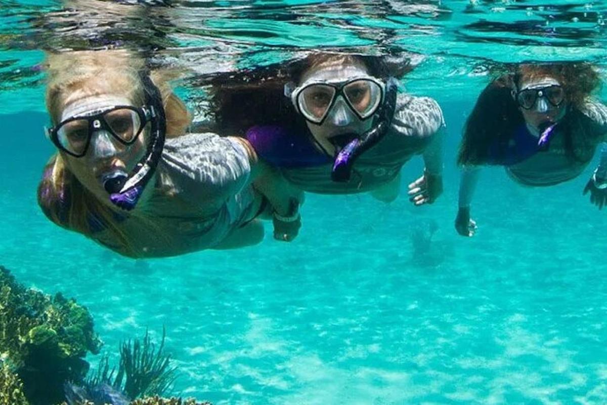 un gruppo di persone che nuotano nell'acqua