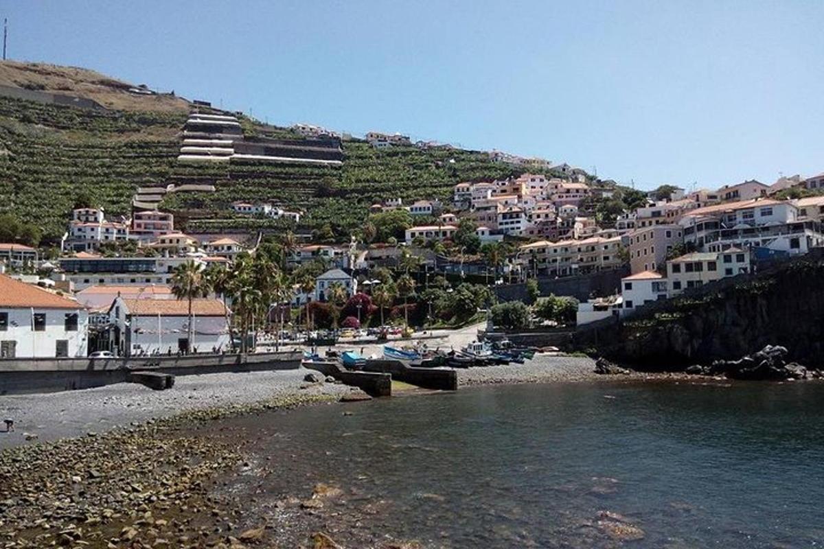 a beach with a bunch of houses on a hill
