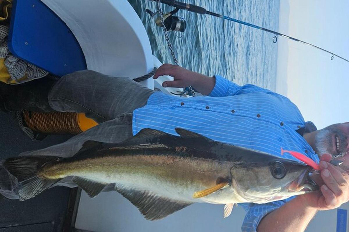 a person holding a fish in a net
