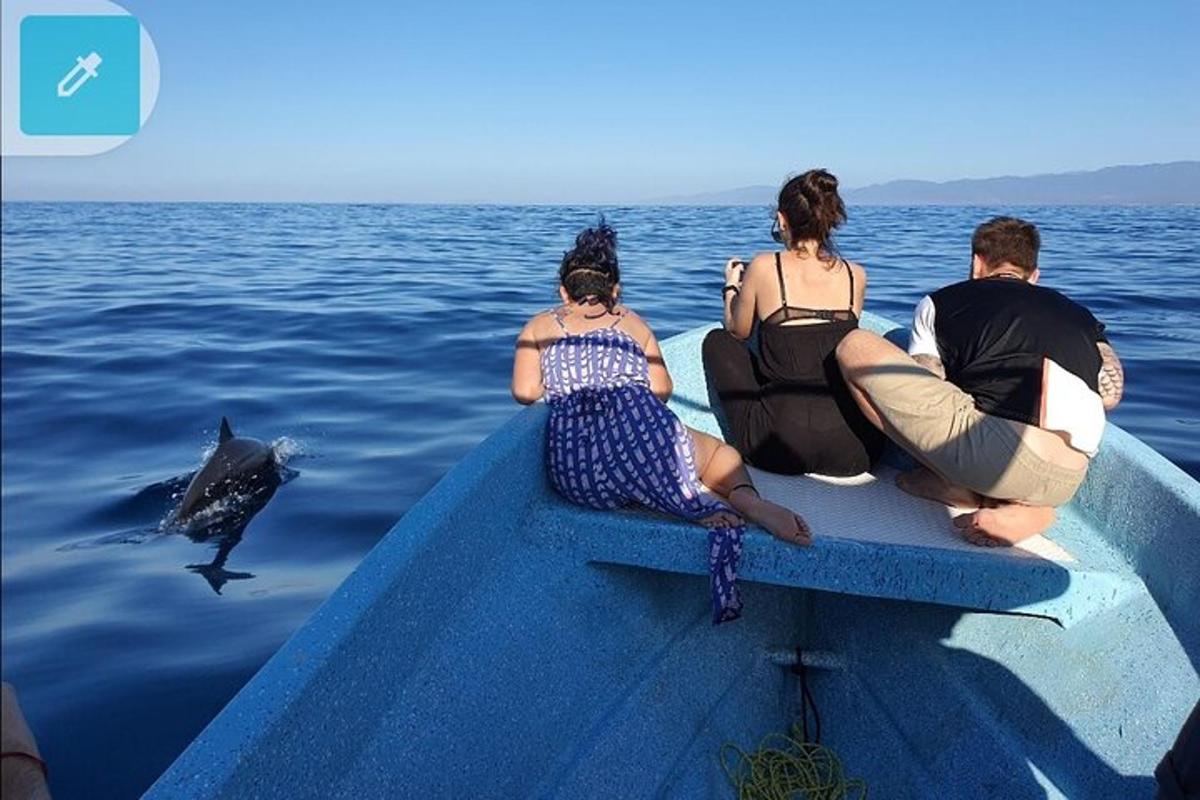un gruppo di persone sedute su una barca che guardano un delfino
