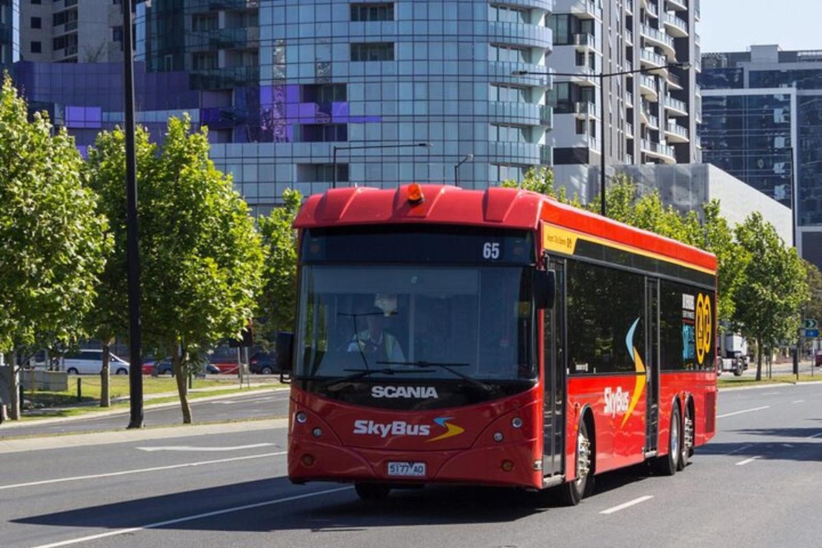 un autobuz roșu circulă pe o stradă a orașului