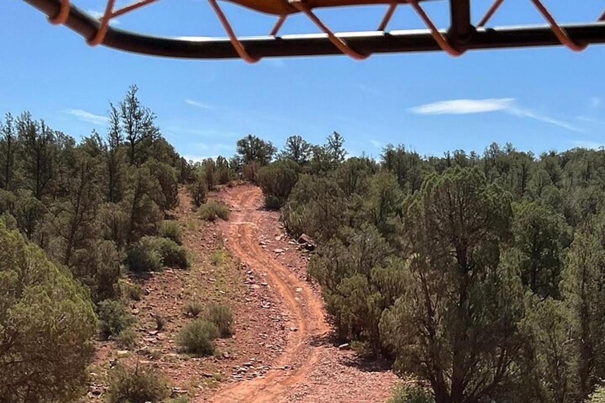 a dirt road in the middle of a forest