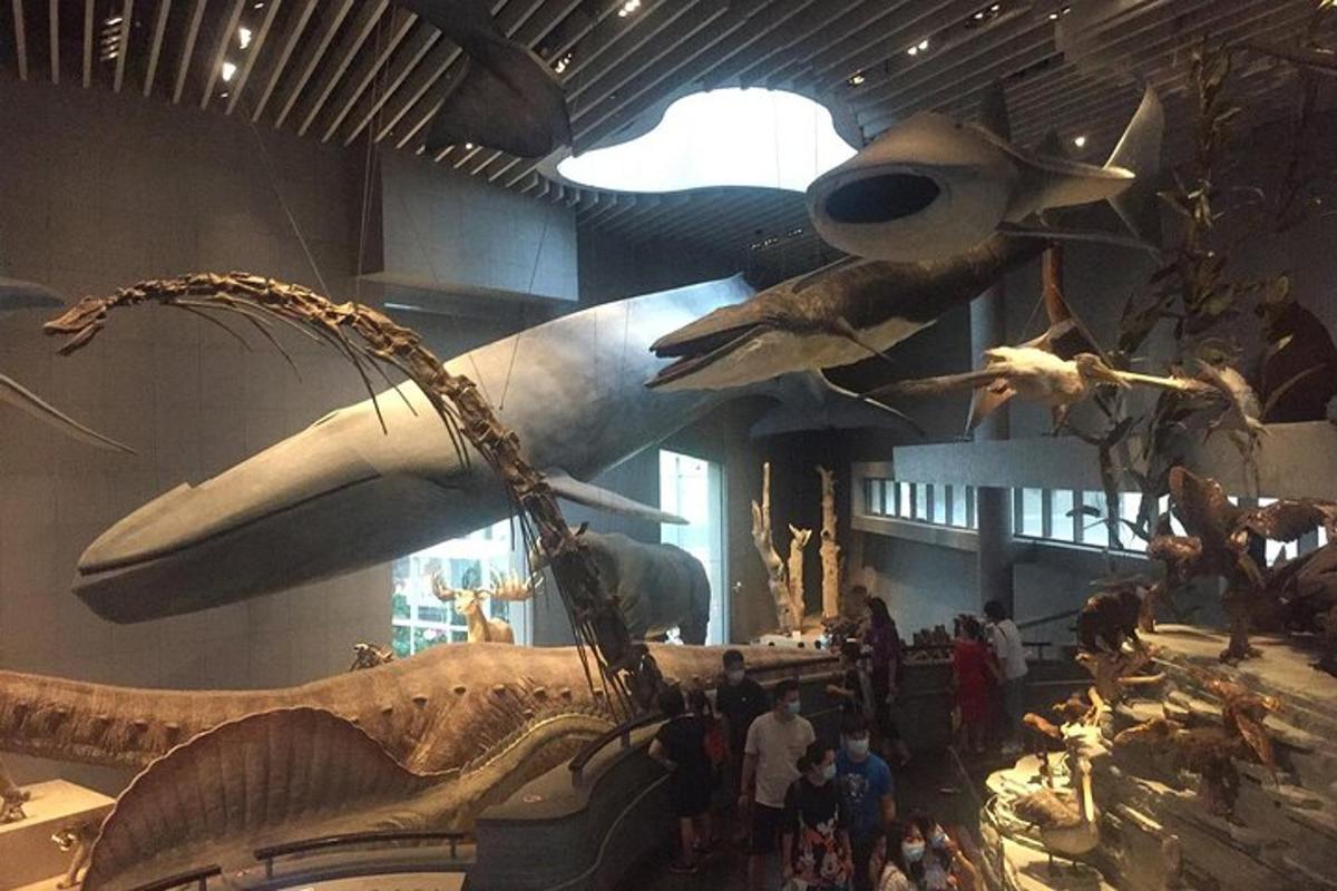 a museum with a large shark skeleton and people