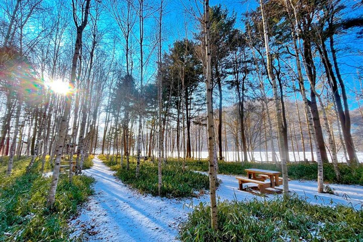 park s lavičkou a cestou se stromy