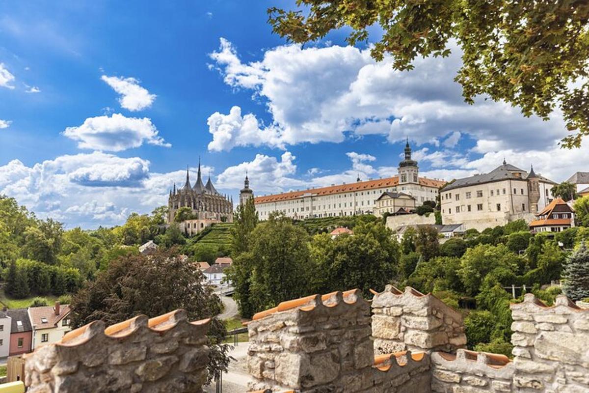 pohled na město s budovami a stromy