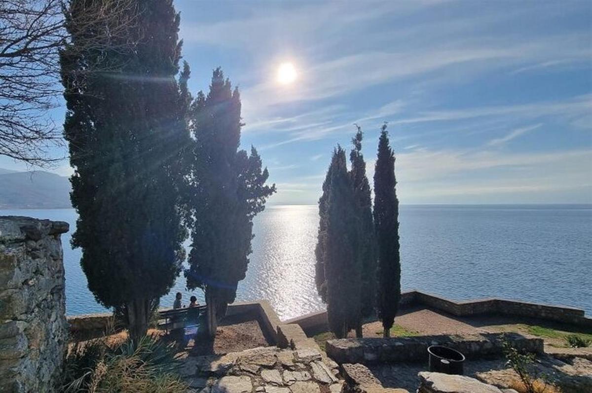 a group of trees sitting next to a body of water