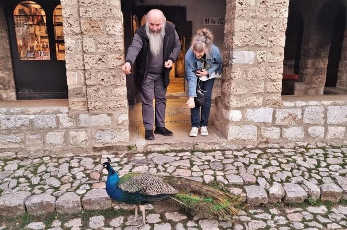 a man and a woman looking at a peacock
