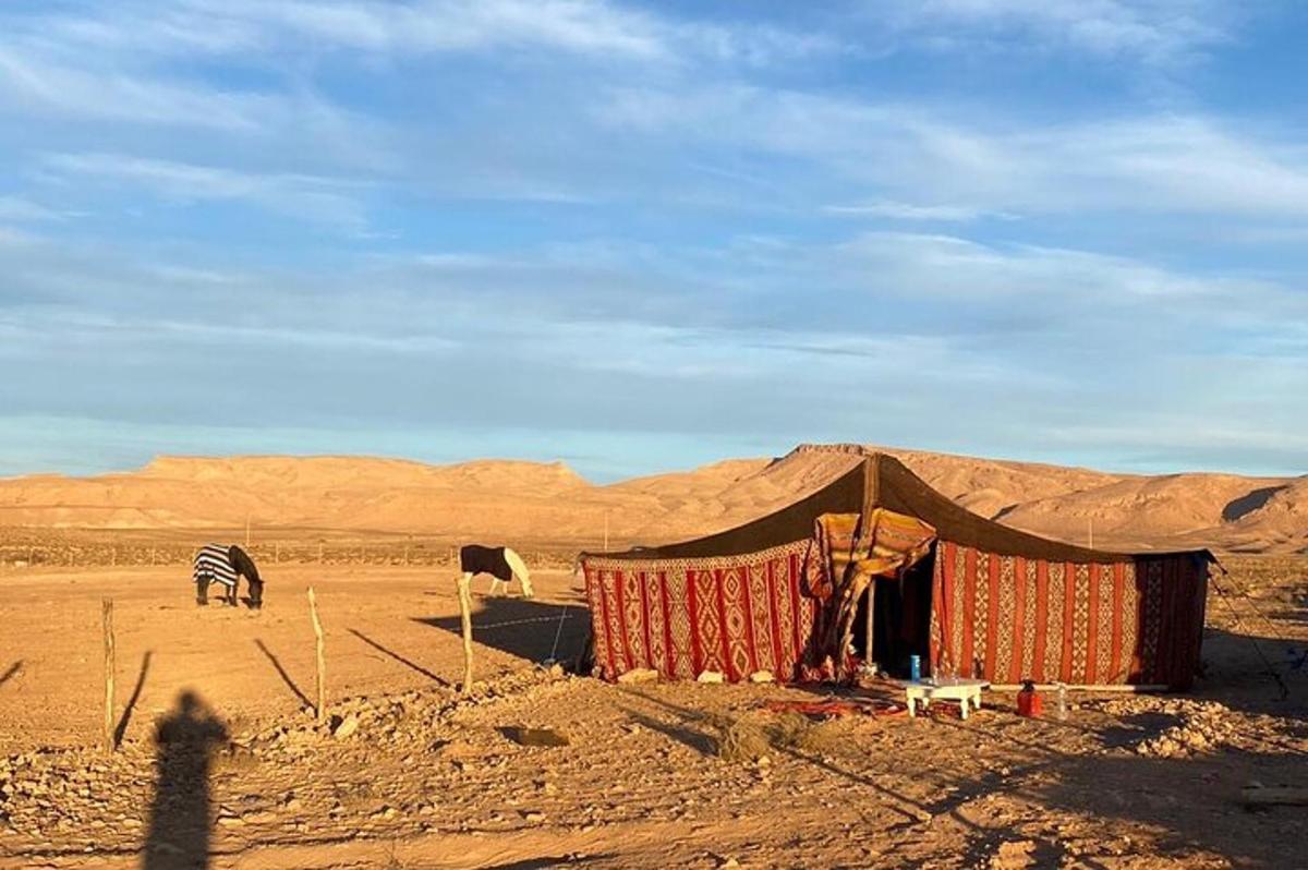 a tent in the middle of a desert with a zebra