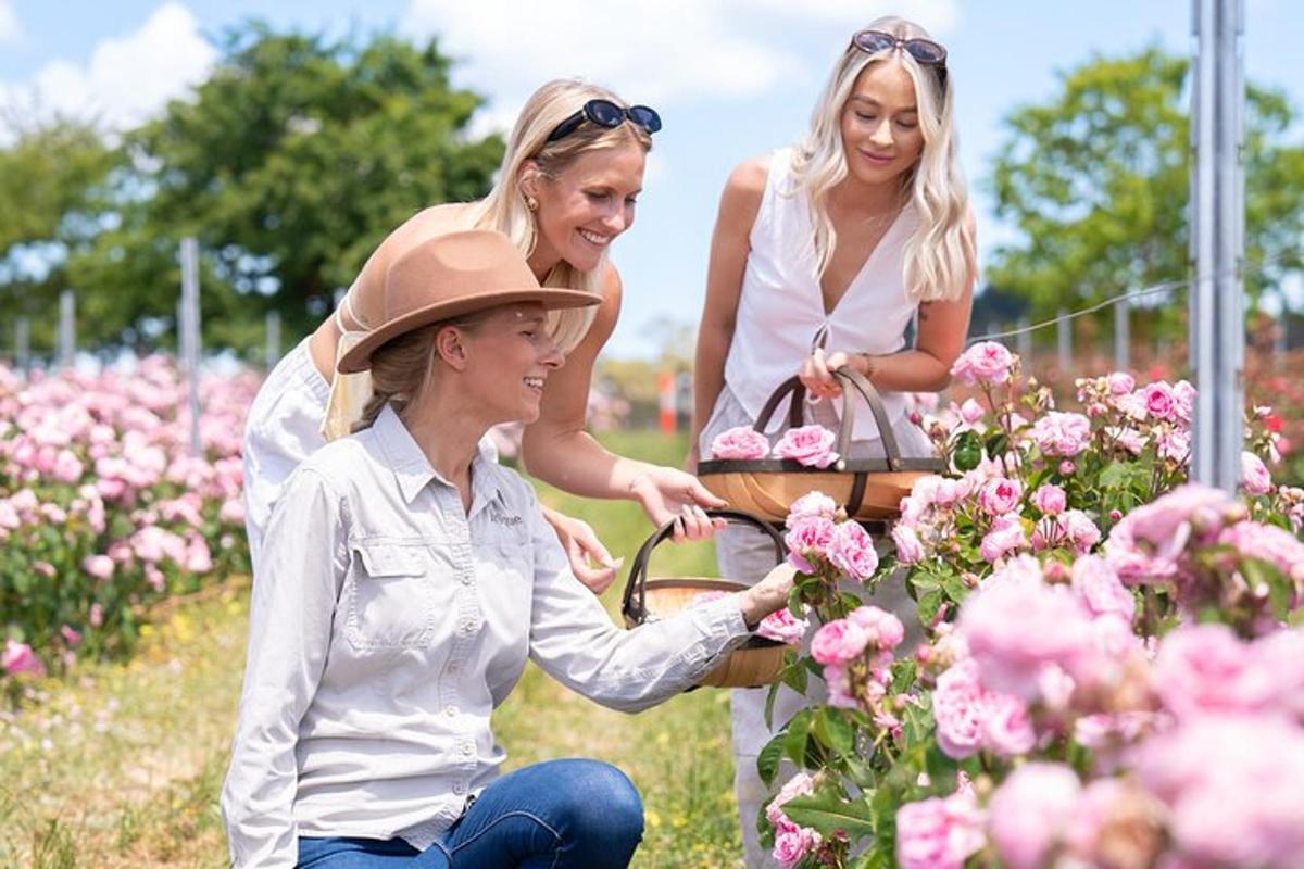tre donne che guardano i fiori in un giardino
