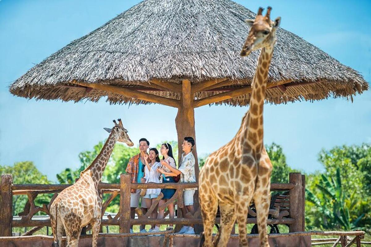 two giraffes and a group of people standing under a straw umbrella