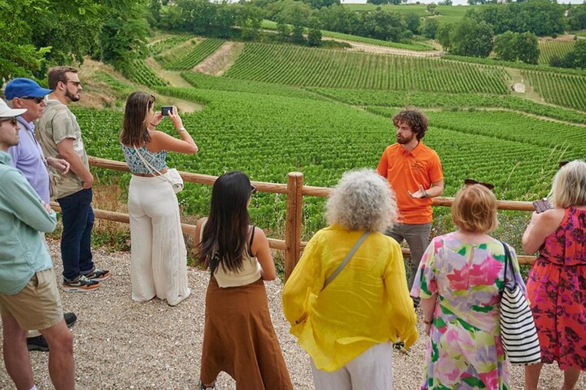 a group of people standing around looking at a vineyard