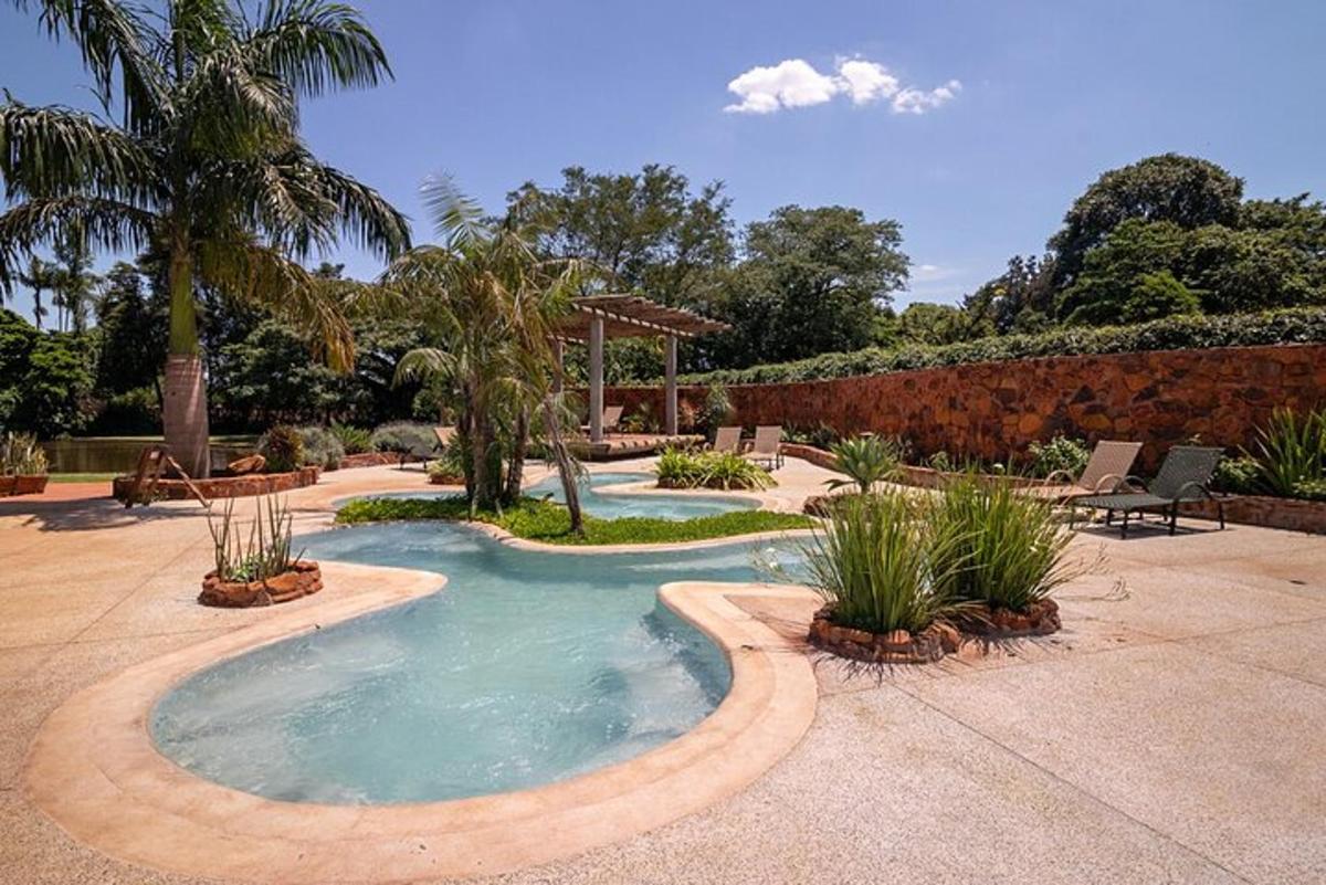 a swimming pool in a yard with palm trees