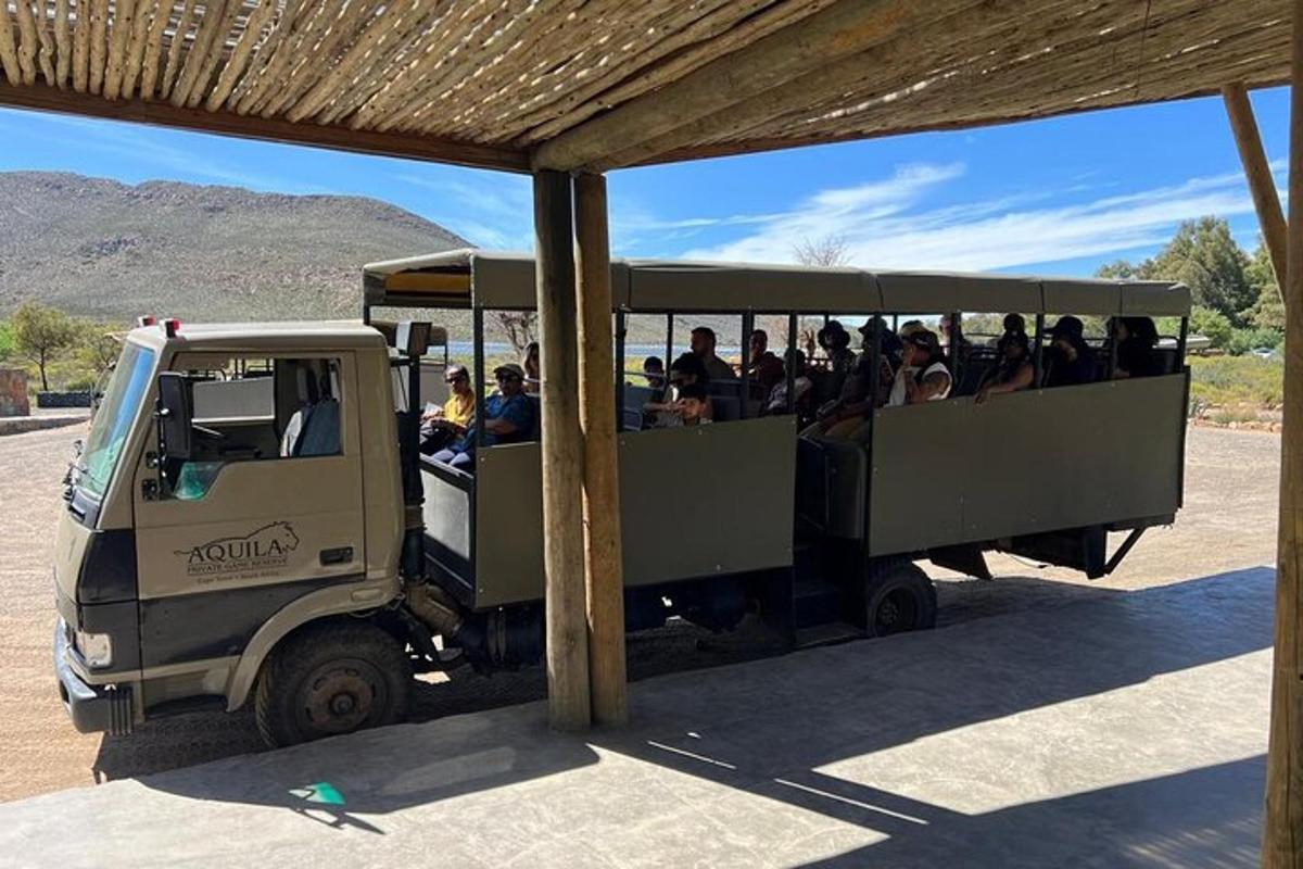 en grupp människor som åker i en safaribuss