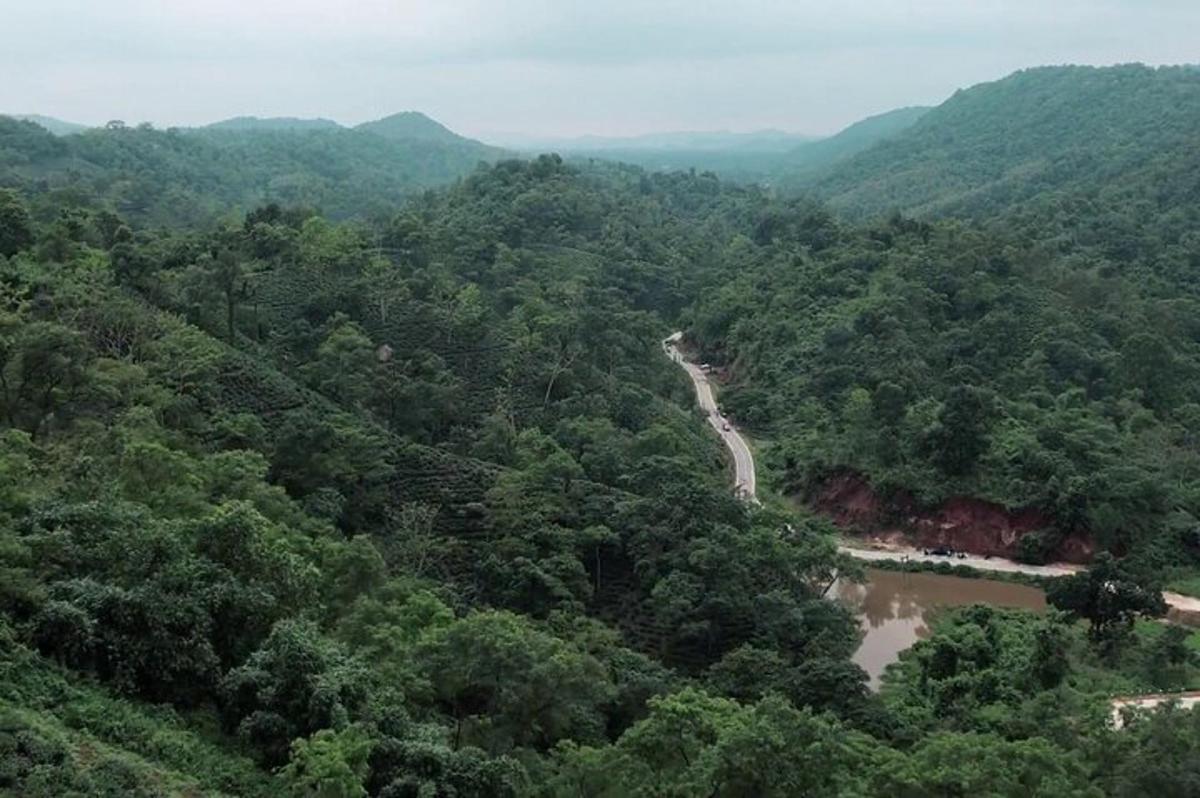 an aerial view of a river in the middle of a forest