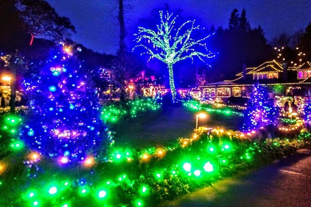 un cortile natalizio con luci natalizie e un albero
