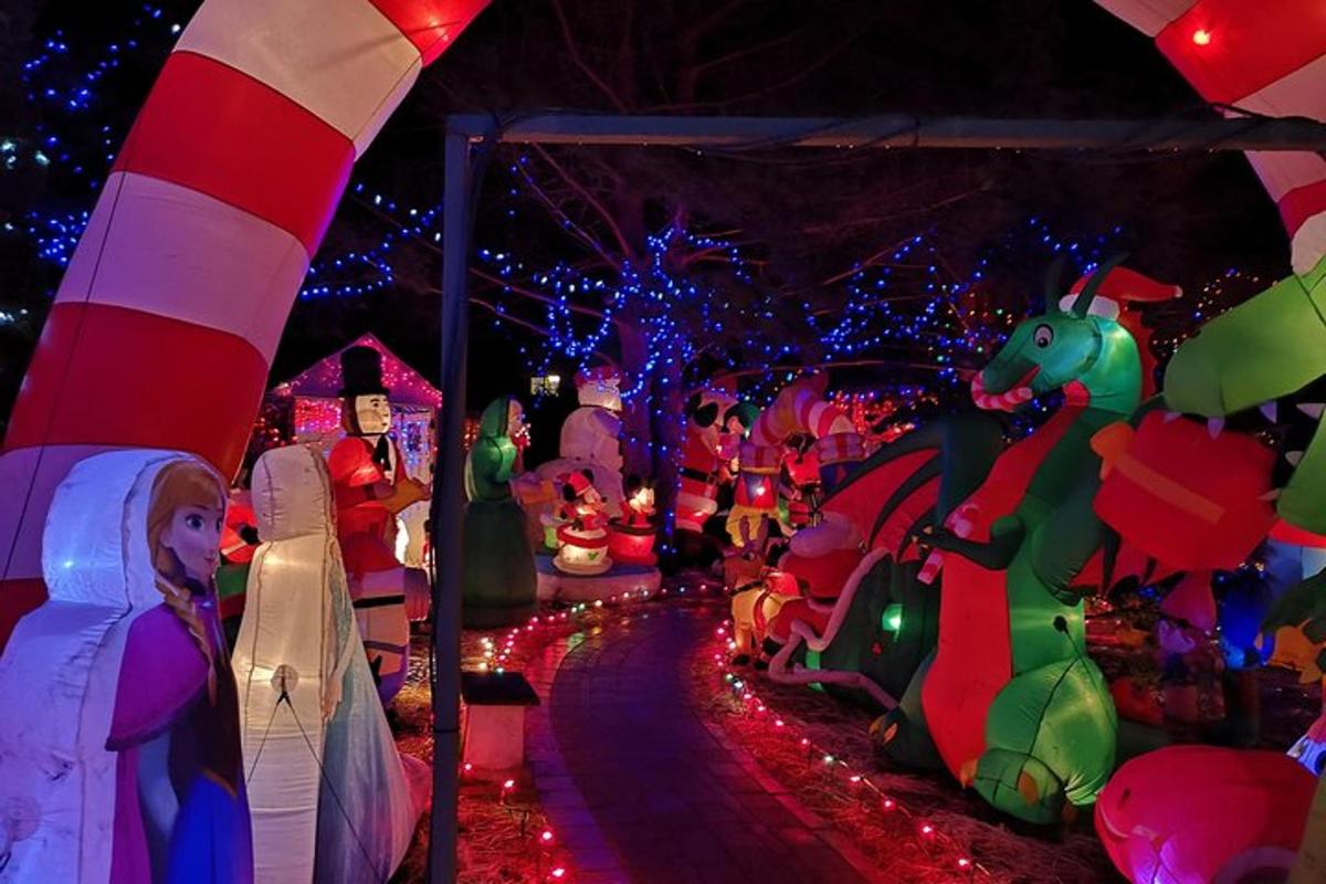 una mostra di luci natalizie e decorazioni natalizie