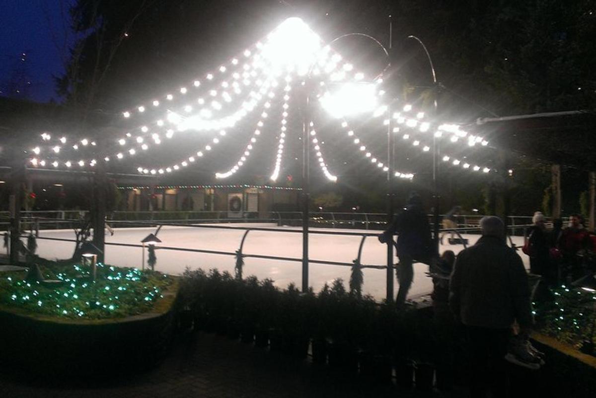 una pista di pattinaggio illuminata di notte con luci