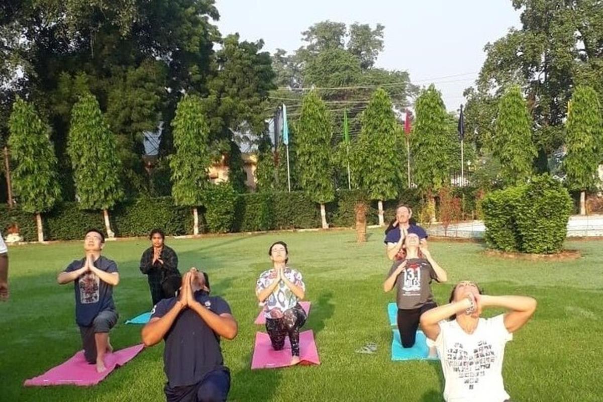 un gruppo di persone che fa yoga sull'erba