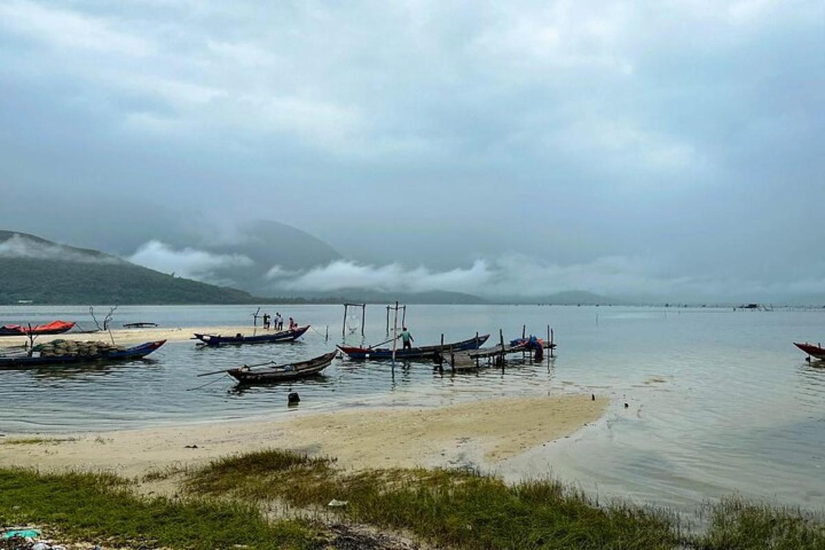 un grupo de barcos en el agua en una playa