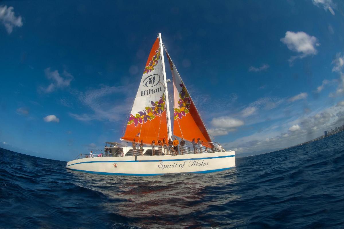 a sail boat in the ocean on the water