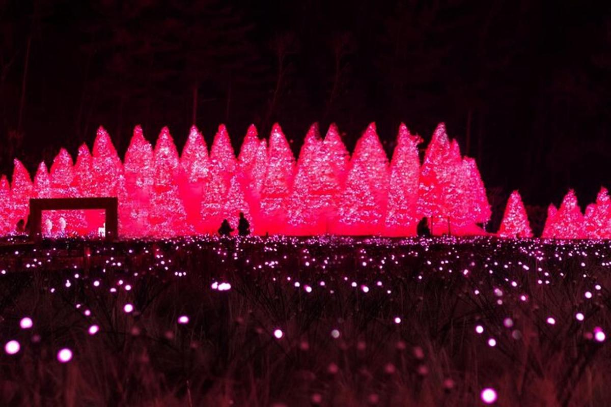 bangunan merah jambu dengan lampu di ladang bunga