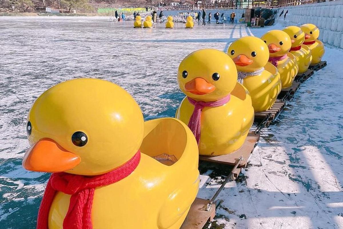 deretan itik getah kuning di dalam air