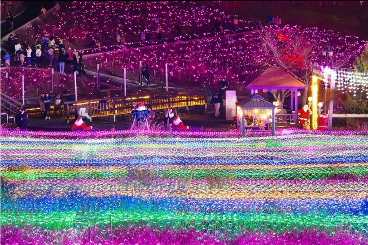 una exhibición de luces en un campo de flores