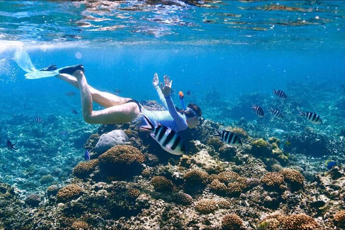 Žena si hraje s frisbee v oceánu