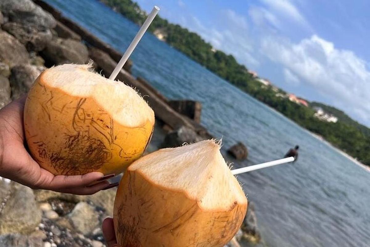 uma pessoa segurando um coco com gravetos dentro