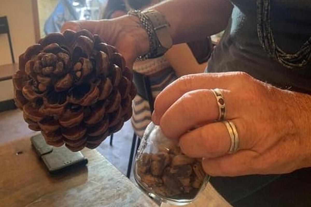 a person holding a glass jar with a pine cone on it